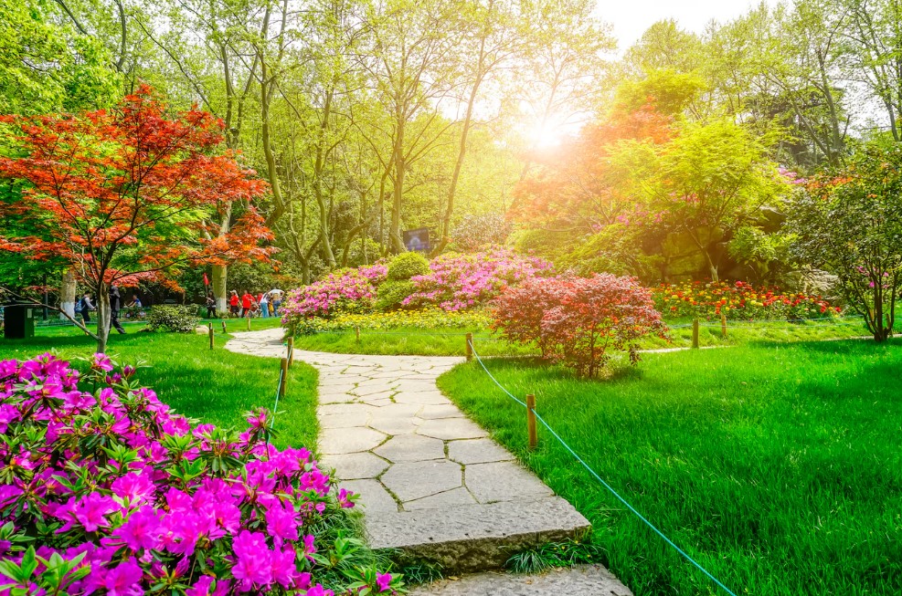 Landscape-Design